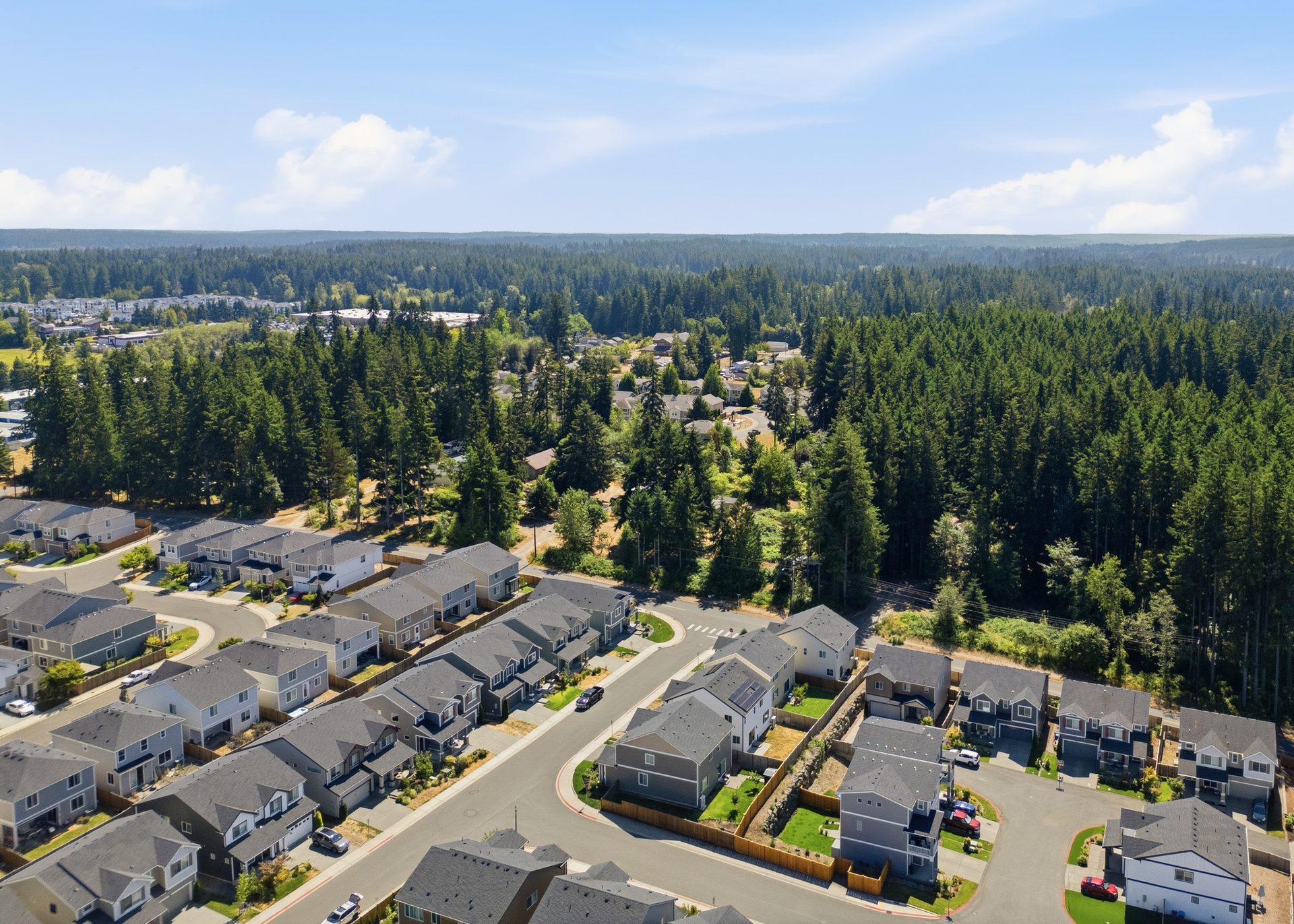 Magnolia Ridge from Above